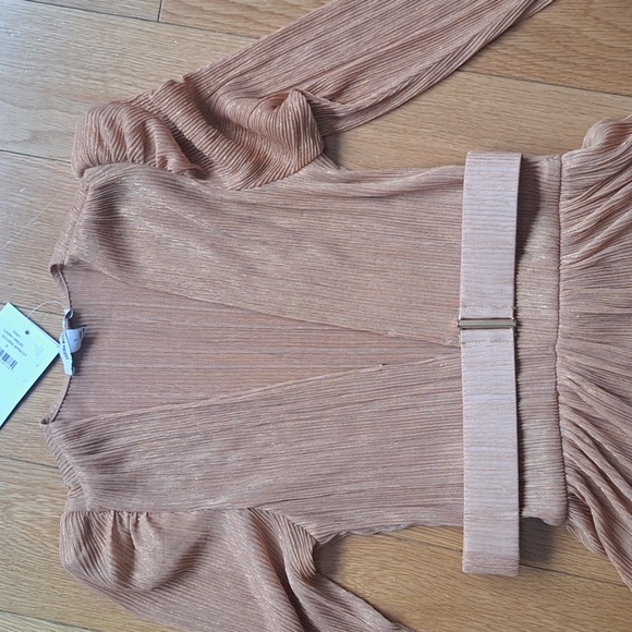 Sabina Musayev Carry Pleated Maxi Dress - Picture 4 of 5